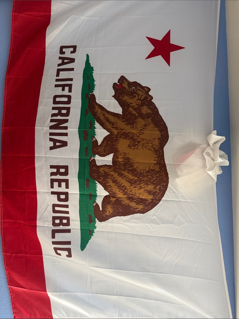 C&C California White Red Brown State Bear Flag 3 by 5